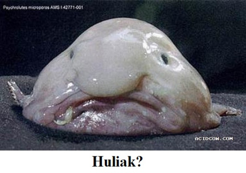 huliak?