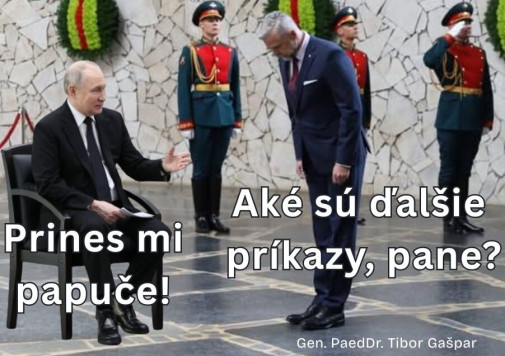 Príspevok 222179